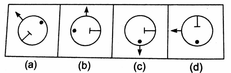 Figural Classification Questions For Competitive Exams